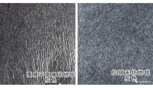 寧波平面地毯批發(fā)價(jià)格 高品質(zhì)地毯